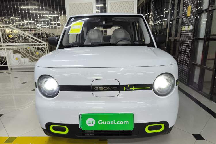 Used  Panda 2025 210 km – Yuanqi Bear
