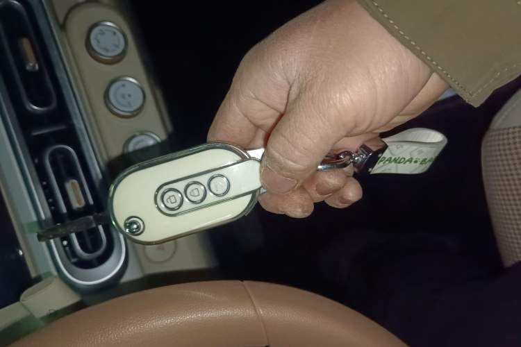 Used Wuling Hongguang MINIEV 2024 3rd Generation 215km Advanced Version