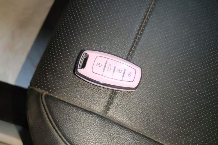 Used ORA White Cat 2020 305 km Luxury Version
