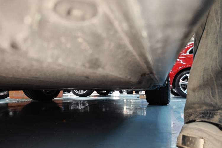 Used BMW 5 Series New Energy 2019 530Le Luxury Package
