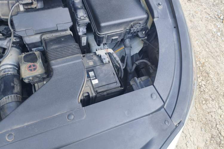 Used Kia Carnival 2017 2.2T Luxury Edition China V Standard
