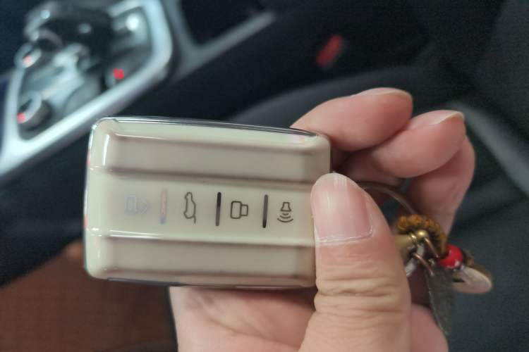 Used Tank 300 2021 Off-Road Edition 2.0T Conqueror