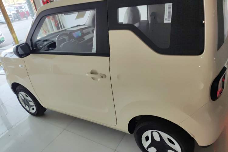 Used  Panda 2025 210 km – Yuanqi Bear
