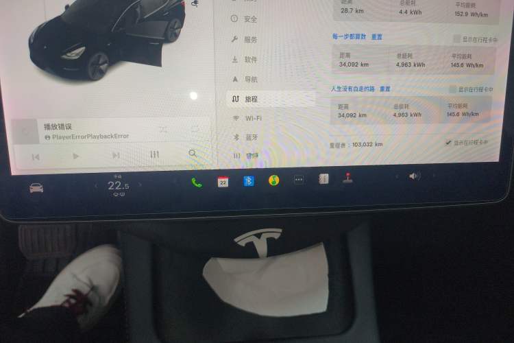 Used Tesla Model 3 2021 Standard Range Rear-Wheel Drive Upgraded Version 3D6
