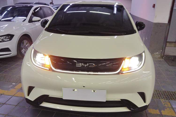 Used BYD Dolphin 2024 Honor Edition 420km Freedom Version
