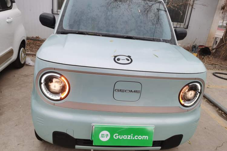 Used  Panda 2023 Panda Mini 200km Endurance Bear
