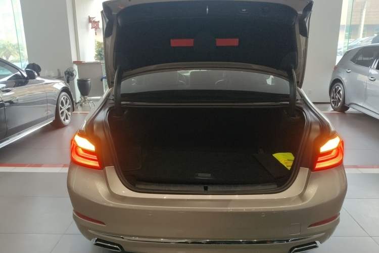 Used BMW 5 Series New Energy 2020 530Le Luxury Package
