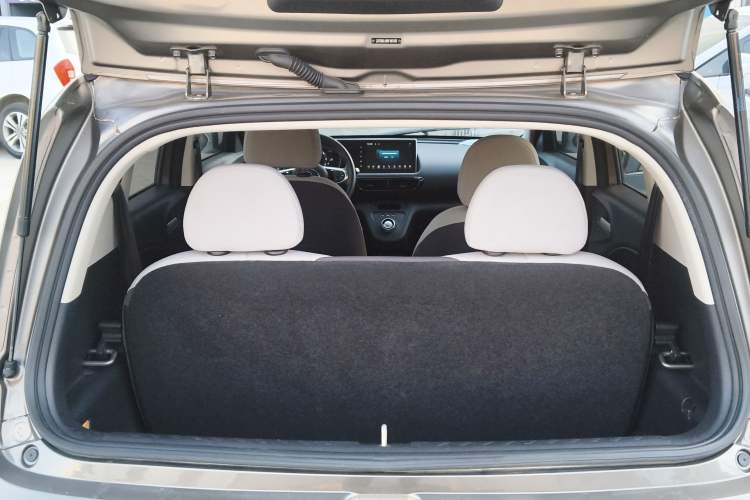 Used ORA White Cat 2020 360 km Luxury Version