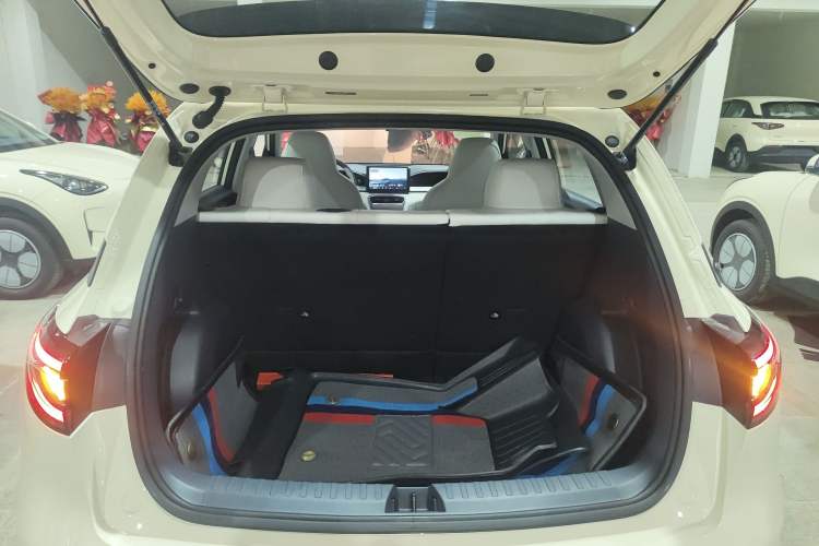 Used  Geome 2025 310km Youth Edition
