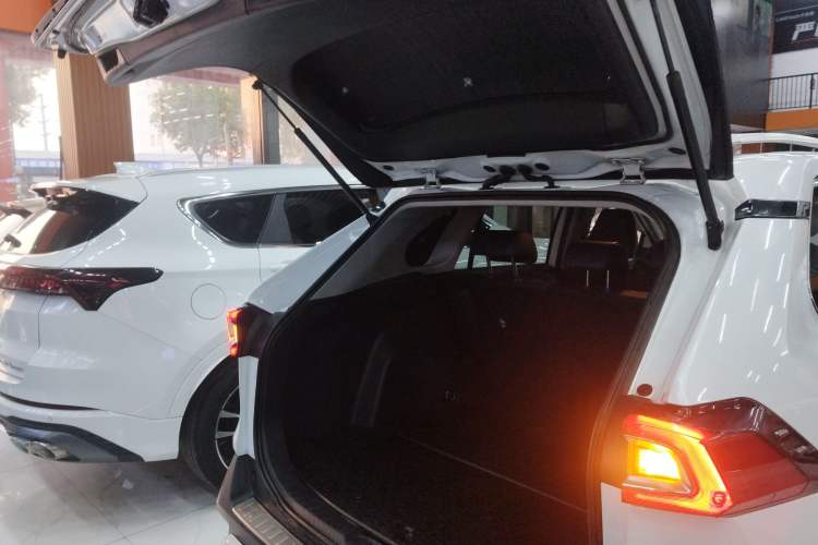 Used Toyota Wildlander 2020 Dual-Engine 2.5L E-CVT Two-Wheel Drive Luxury Edition