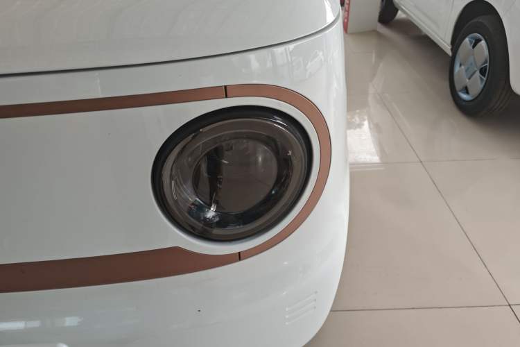 Used  Panda 2024 Panda Mini 200km Endurance Bear
