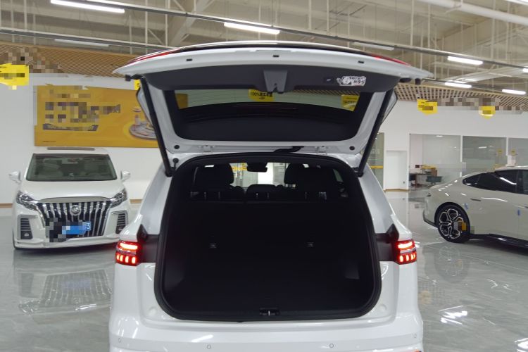 Used Geely Auto Monjaro L 2024 2.0TD High-Power Automatic Two-Wheel Drive Skyline Edition
