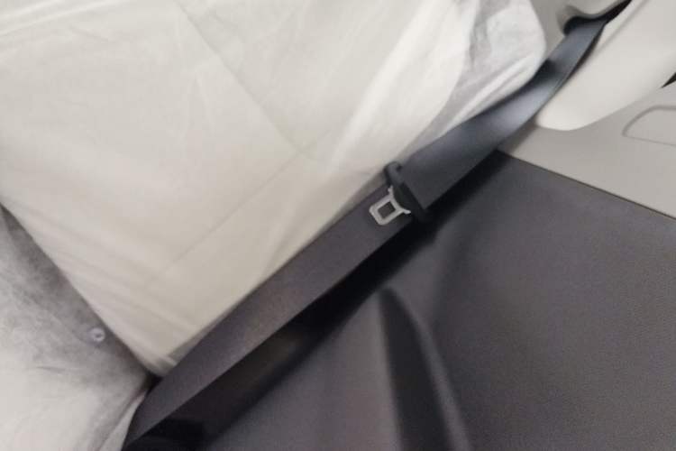 Used  Panda 2025 210 km – Yuanqi Bear
