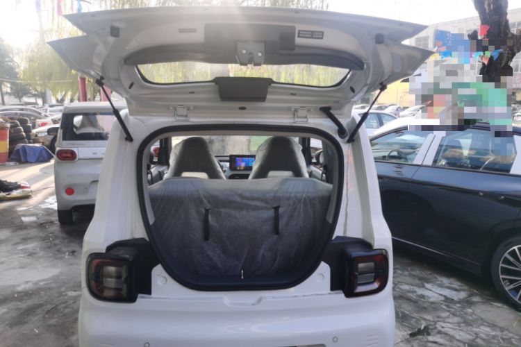 Used  Panda 2024 Panda Mini 200km Endurance Bear
