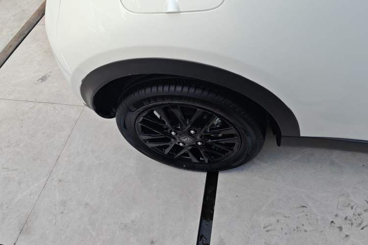 Used Chery Little Ant 2024 Refreshed Version Youth Edition 321 km Beloved Edition 29.23 kWh
