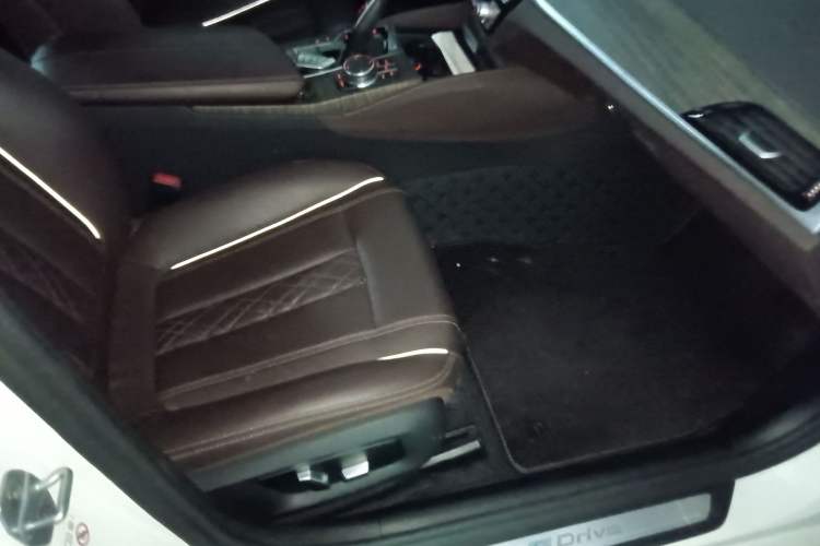 Used BMW 5 Series New Energy 2019 530Le Luxury Package