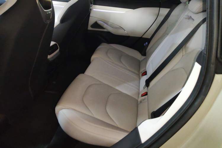 Used  SU7 2024 Rear-Drive Standard Founder Edition
