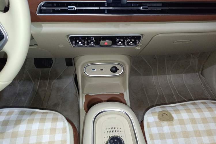 Used ORA Good Cat 2023 401 km Standard Range Luxury Version Lithium Iron Phosphate