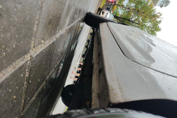 Used  Panda 2023 Panda Mini 200km Endurance Bear
