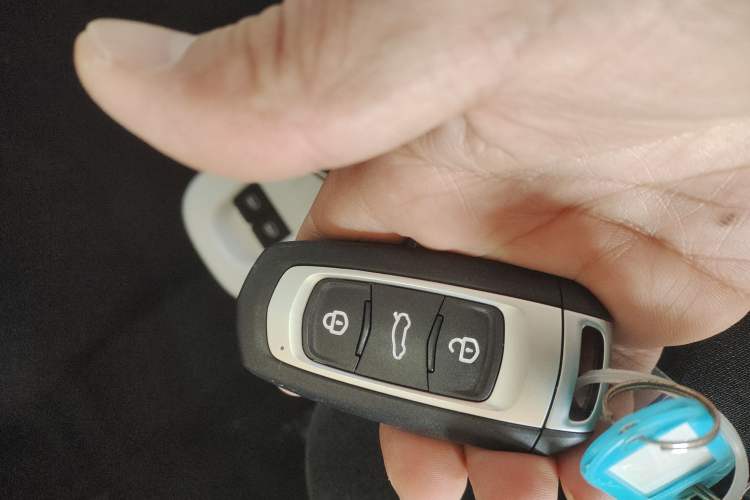 Used  Panda 2025 210 km – Yuanqi Bear