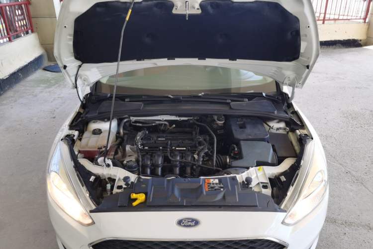 Used Ford Focus 2018 Hatchback Classic 1.6L Automatic Comfort Plus SmartDrive Edition