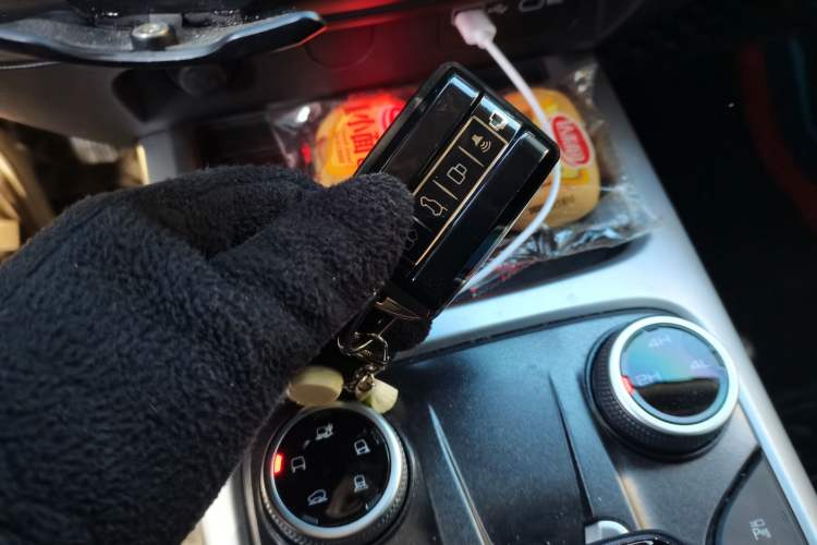 Used Tank 300 2021 Off-Road Edition 2.0T Challenger