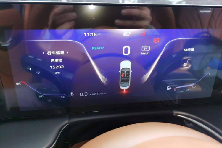 Used Hongqi H9 2024 2.0T Qixiang Private Style Edition
