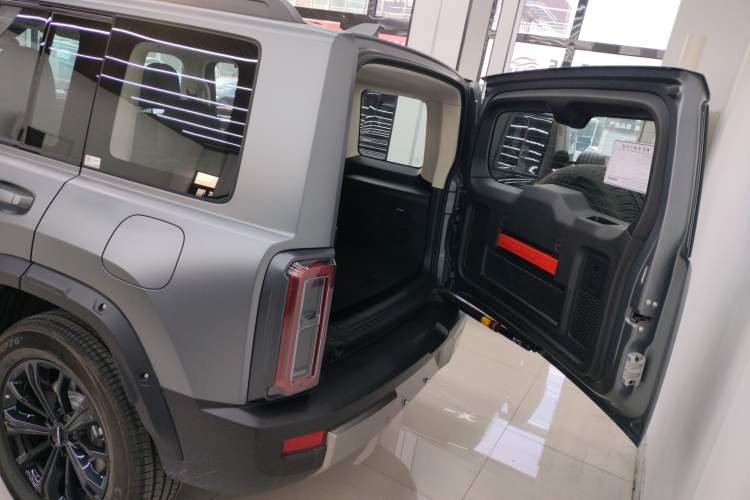 Used Haval Raptor New Energy 