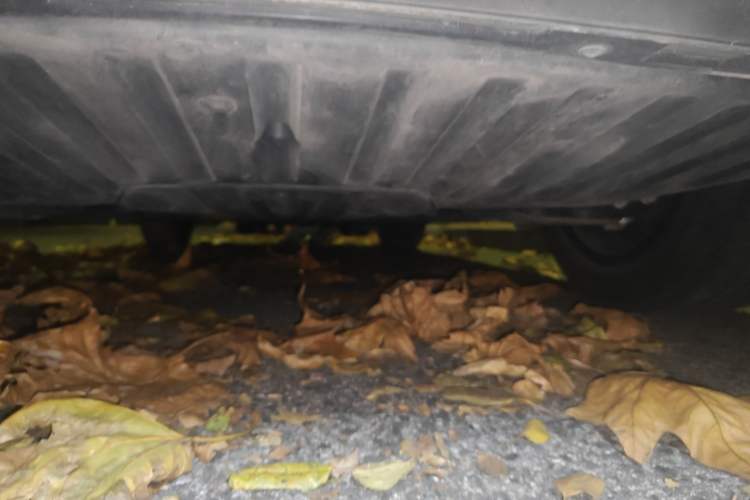 Used Volkswagen ID.4 CROZZ 2024 Pure Edition Limited Edition
