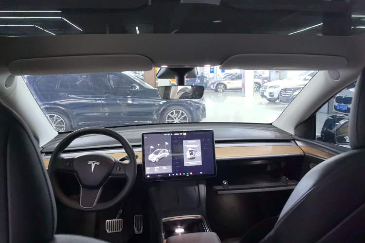 Used Tesla Model Y 2021 Long-Range All-Wheel-Drive Version
