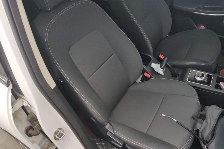 Used Dayun Yuehu 2022 30.66 kWh Two-Wheel Drive Standard Version