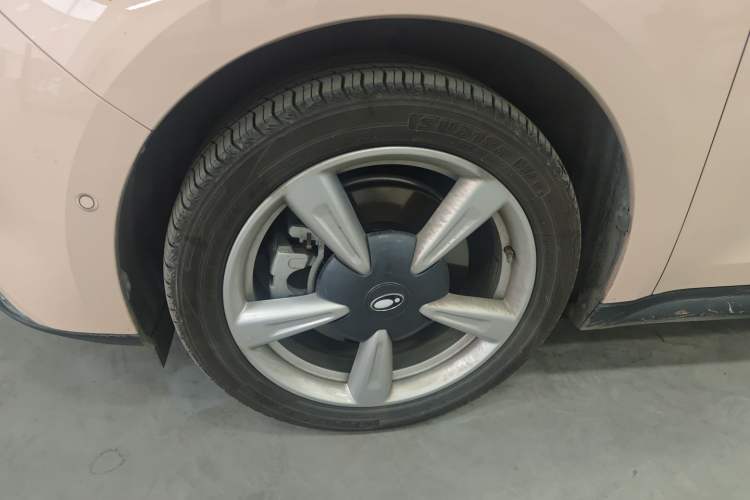 Used ORA Good Cat 2023 401 km Standard Range Luxury Version Lithium Iron Phosphate
