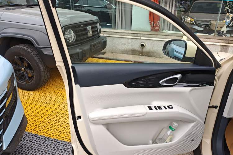 Used  Geome 2025 310km Youth Edition
