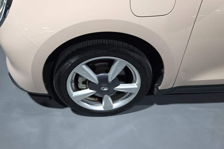 Used ORA Good Cat 2022 Morandi Edition 400km Standard Range Luxury Version Lithium Iron Phosphate
