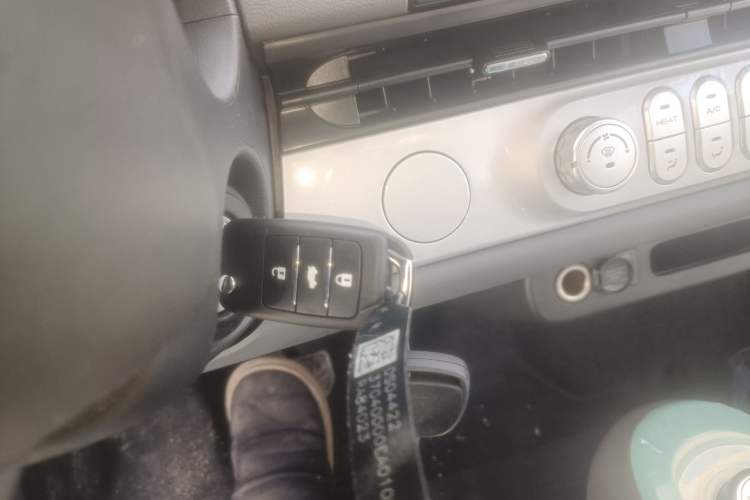 Used Qiyuan Lumin 2024 130km Qingyue Version
