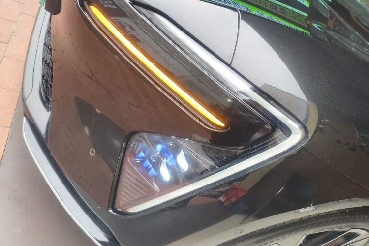 Used  06 2025 Max Extended-Range Edition
