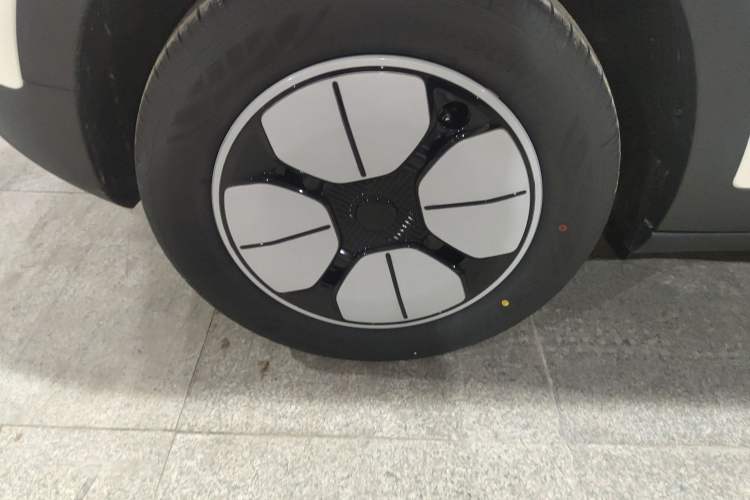 Used  Geome 2025 310km Youth Edition
