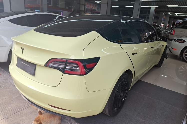 Used Tesla Model 3 2019 Standard Range Rear-Drive Upgraded Version
