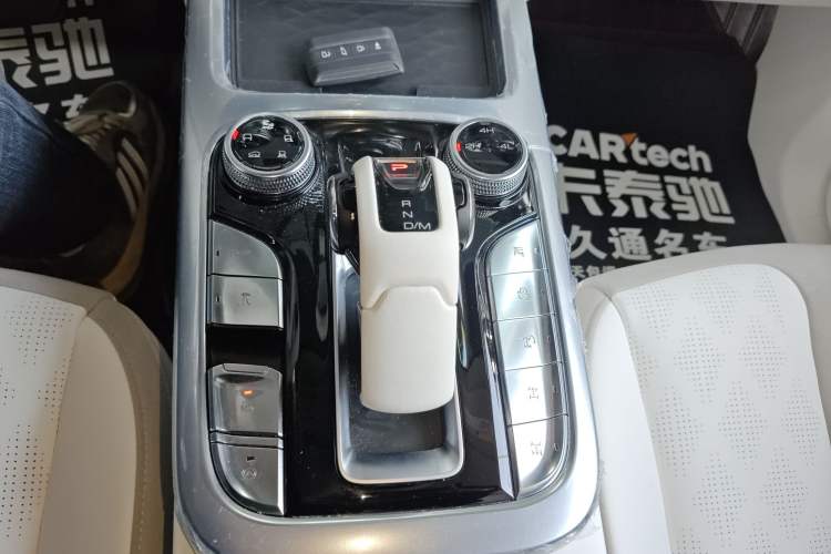 Used  Tank 300 2021 2.0T Cyber Tank
