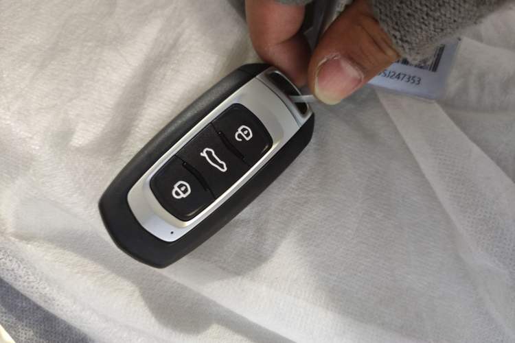 Used  Panda 2025 210 km – Yuanqi Bear