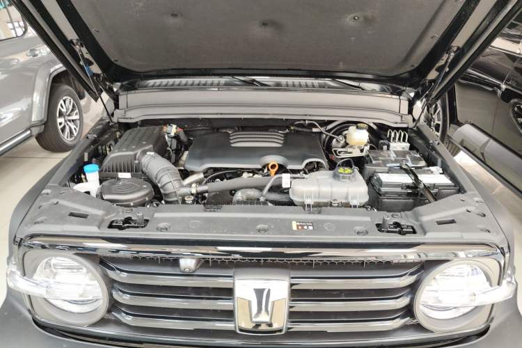 Used Tank 300 2024 2.0T Conqueror
