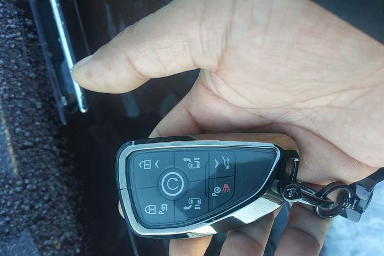 Used Buick GL8 New Energy 2024 Lu Zun Luxury Edition 7-Seater
