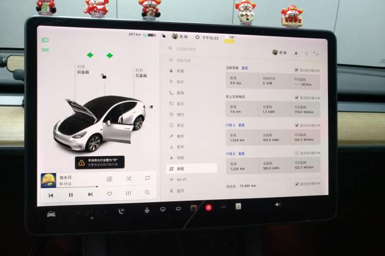 Used Tesla Model Y 2021 Standard Range Rear-Wheel Drive Version