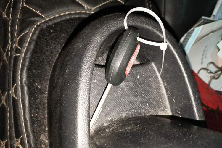 Used ORA Black Cat 2019 351 km Family Edition