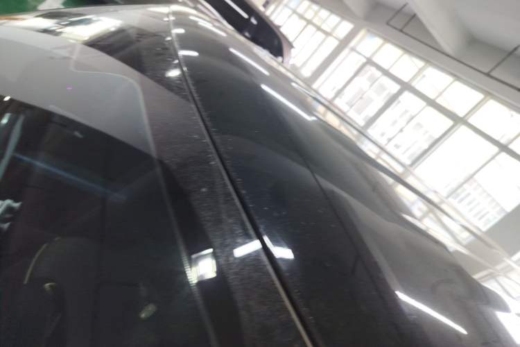 Used  Panda 2024 Panda Mini 200km Endurance Bear
