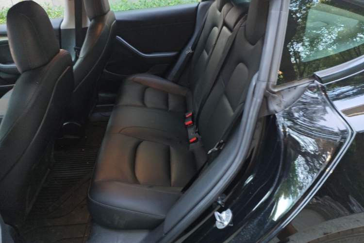 Used Tesla Model 3 2021 Revised Performance Version with All-Wheel Drive 3D1
