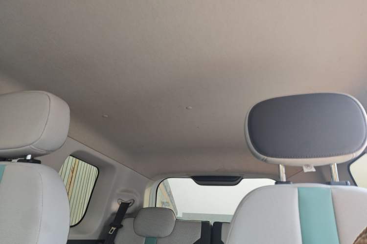 Used Qiyuan Lumin 2022 210km Sweet Edition