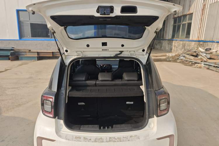 Used SOL E10X 2022 Flower Fairy Design Four-Leaf Clover