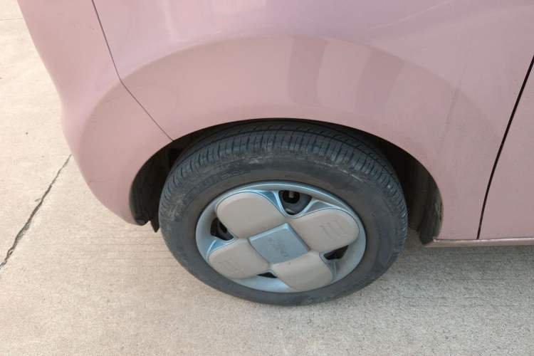 Used  Panda 2024 Panda Mini 200km Endurance Bear