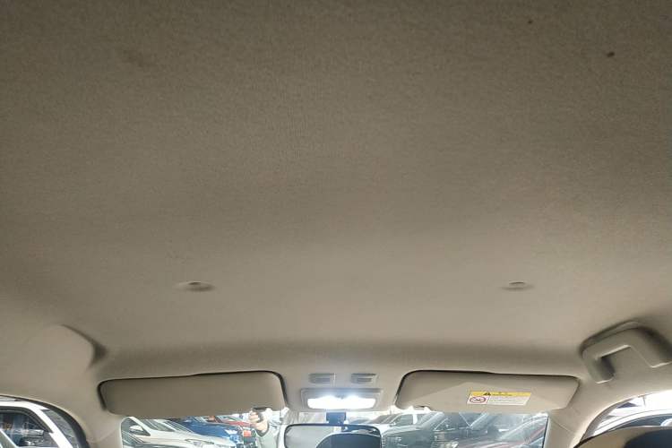 Used ORA Black Cat 2021 301 km Basic Version
